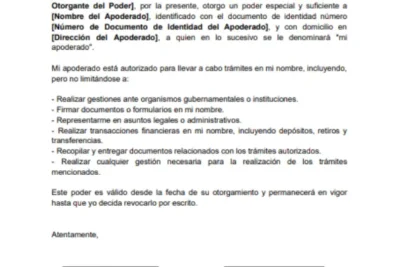 ejemplo de Carta Poder Notarial para trámites